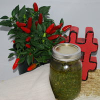Basil Pesto
