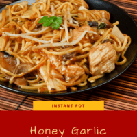 Honey Garlic Chicken LoMein in a bowl on a bamboo mat