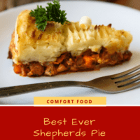 Baked Shepherds pie with minced meat on a plate