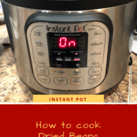 Dried Navy Beans, Pinto Beans, White Kidney beans in large brown bags