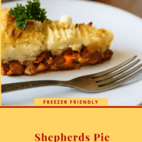 Baked Shepherds pie with minced meat on a plate