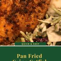 Pan Fried Catfish with cajun seasoning with mashed potatoes and broccoli slaw