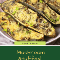 Vegetarian stuffed zucchini